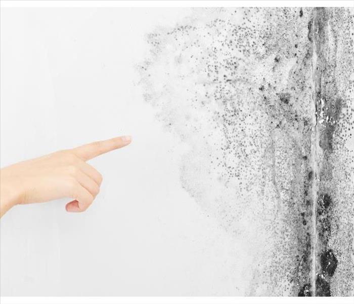 Someones hand pointing at a wall that has black mold