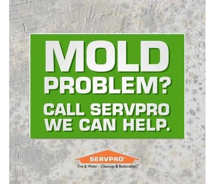 Is it Mold?