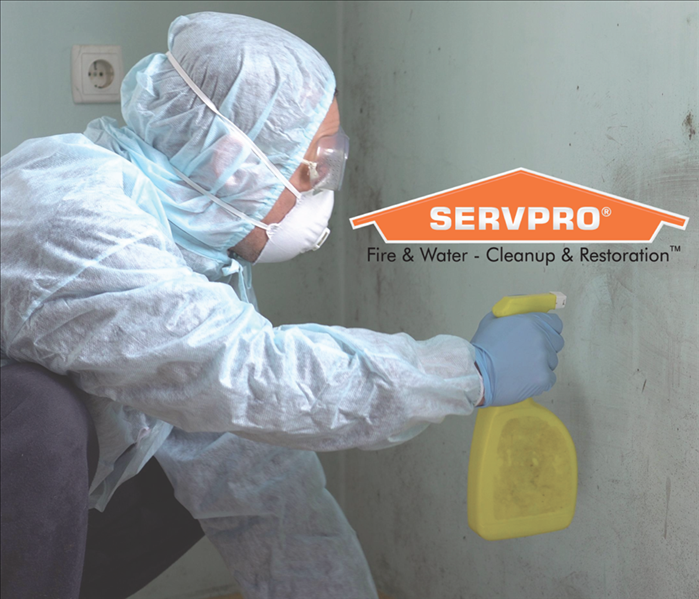 Specialist using protective gear, bottle spray on hand pointing at a wall with mold